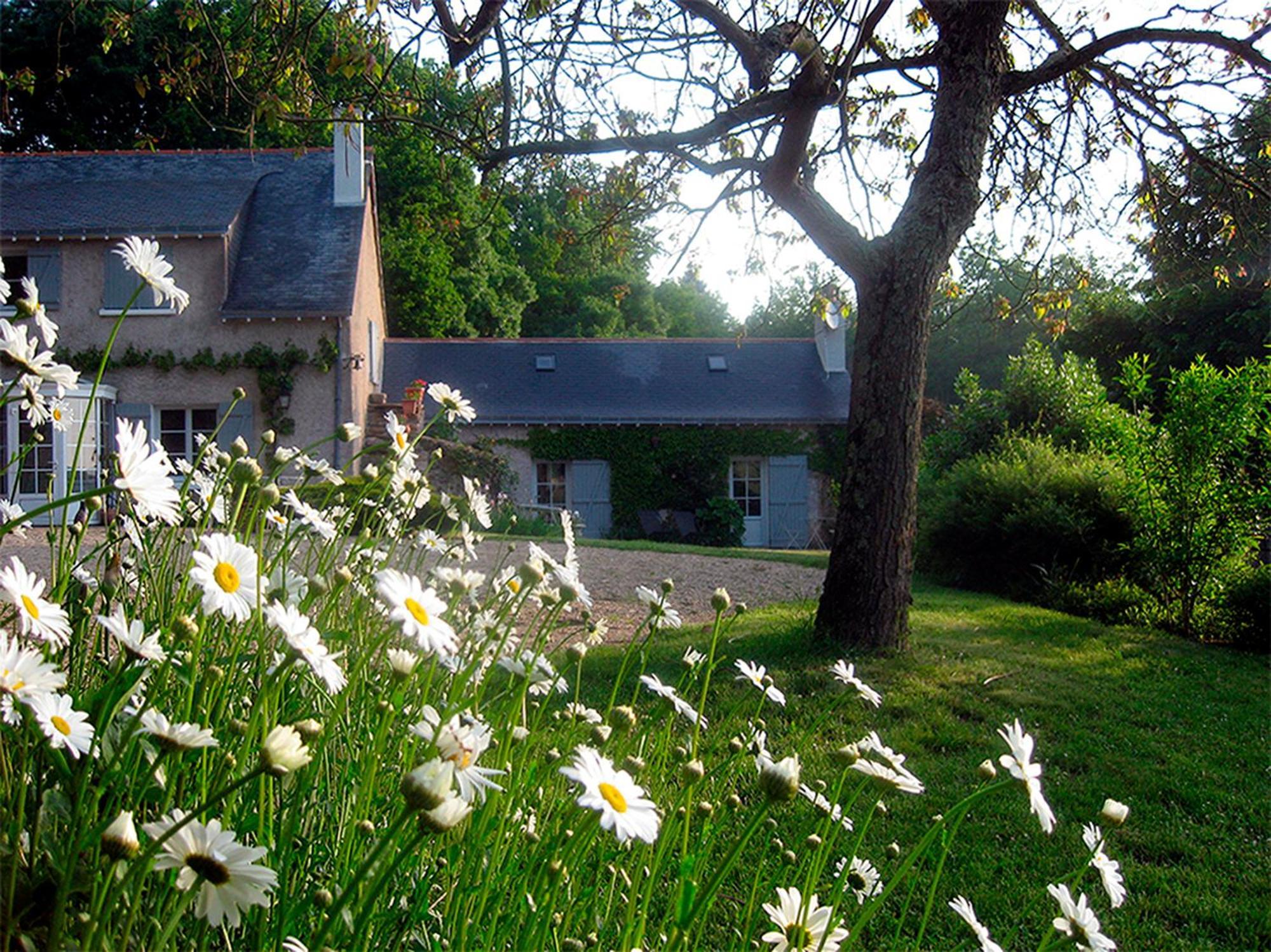 La Butte De Gohier Bed & Breakfast Blaison Luaran gambar